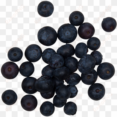 blueberries - smoothie