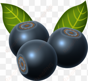 blueberry, beautiful, vegetables, fruits png and psd - fruit