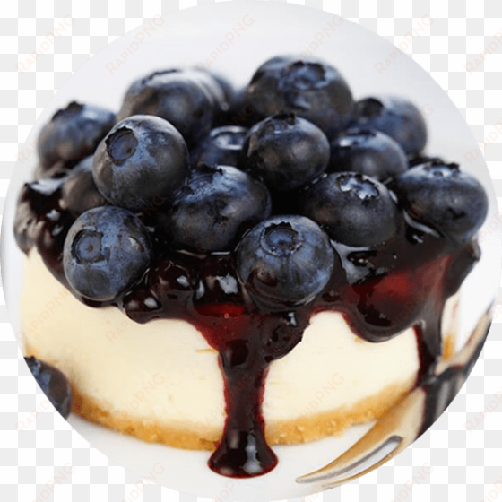 blueberry cheesecake - kosher travel guide 2017