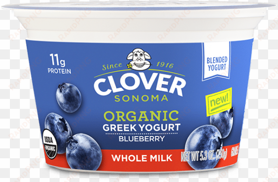 blueberry - clover ice cream, chocolate - 1.5 qts (1.42 l)