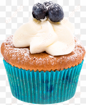 blueberry cupcake png