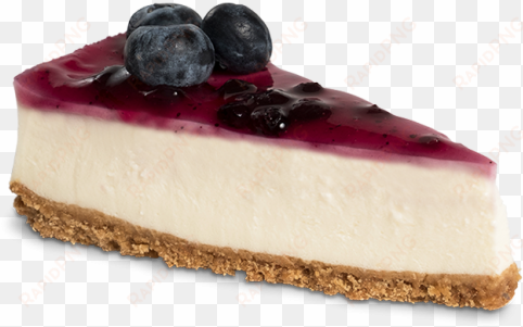 blueberry & vanilla cheesecake - vanilj o blåbär cheesecake