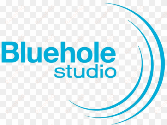 bluehole, playerunknown's battlegrounds creators, working - bluehole studio