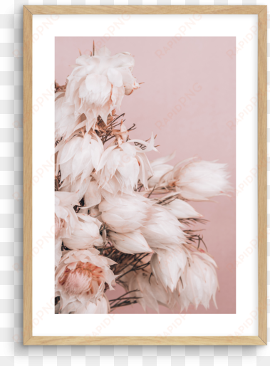 blushing bride no 2 - chrysanths