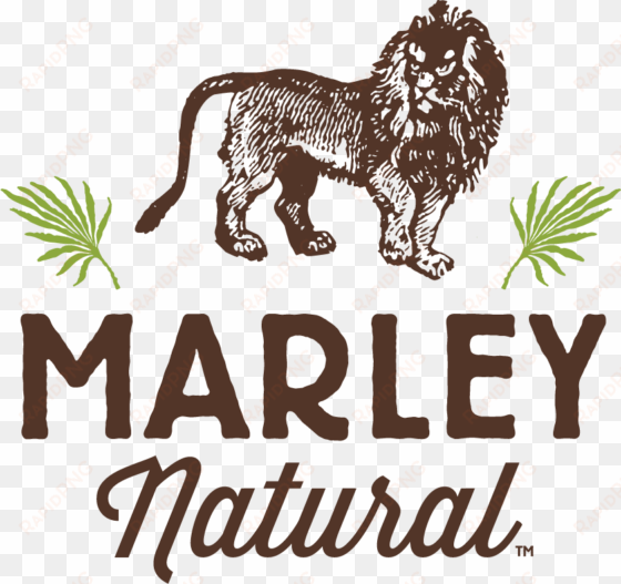 bob marley family lends reggae legend's name to cannabis - marley natural logo png