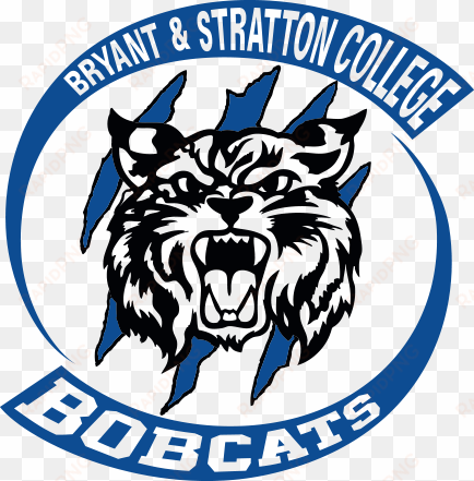 bobcat sports - bryant & stratton college bobcats