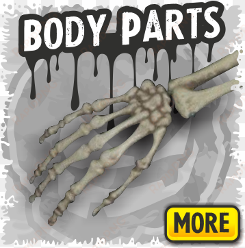 body parts a skeletons decor - skeleton