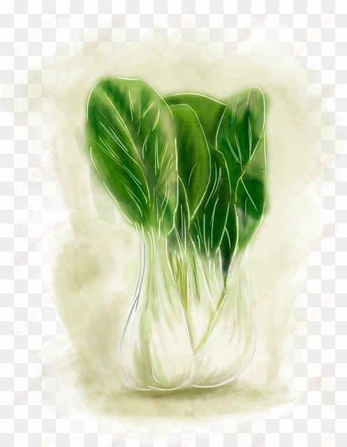 bokchoiflat - brussels sprout