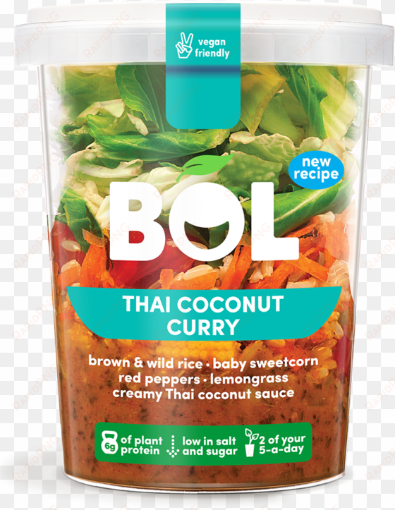 bol thai coconut curry pot 345g