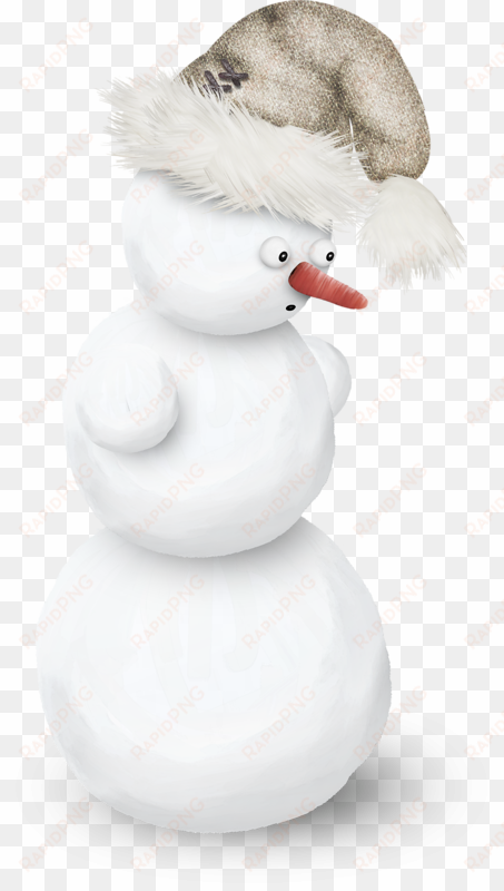 bonhomme de neige,tube,png - duck