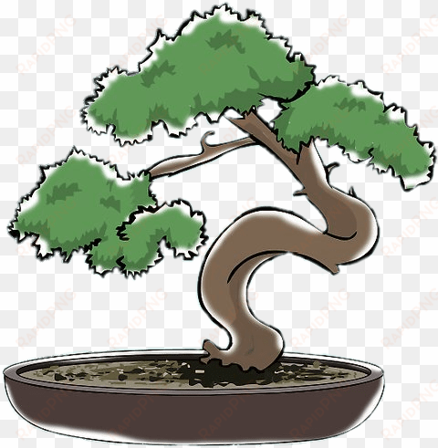 bonsai clipart - bonsai dibujo