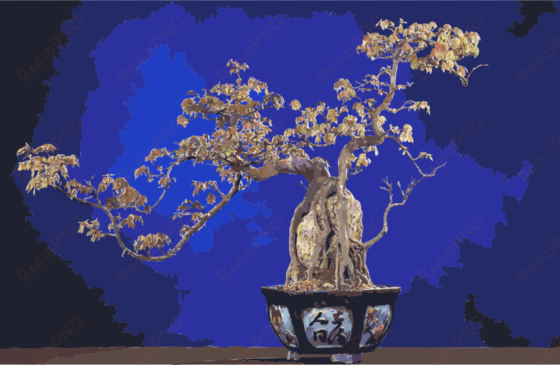 bonsai clipart national bonsai foundation penjing - bonsai