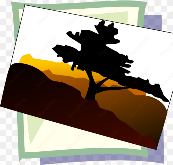 bonsai tree clip art