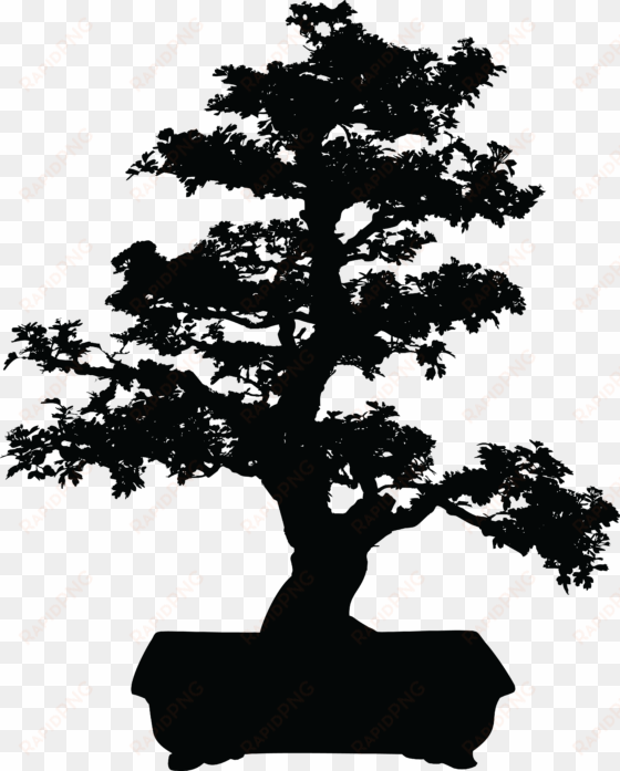 Bonsai Tree Clipart Japanese Bonsai Tree Clip Art Vector - Bonsai Tree Black And White transparent png image