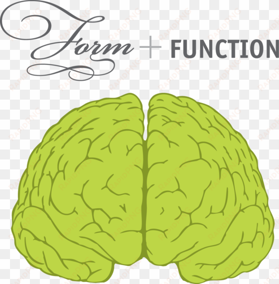 boom shaka - brain front view