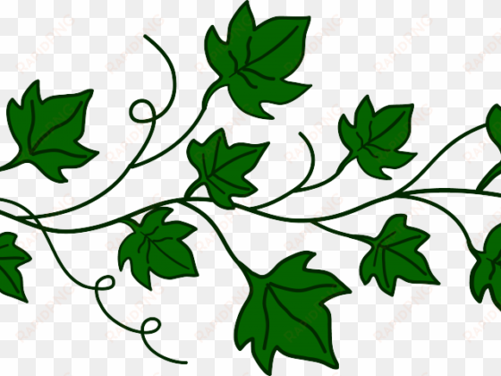 border clipart ivy - pumpkin vine clip art