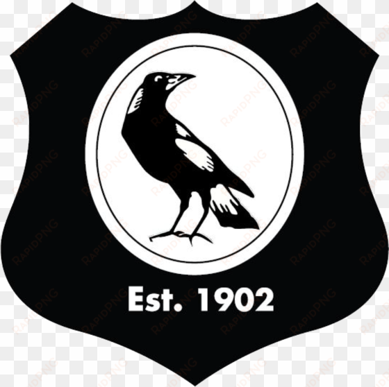 boree creek public school - collingwood logo