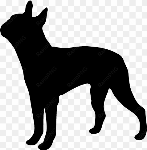 boston - boxer dog silhouette png