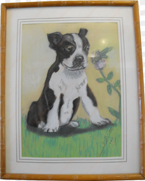 boston terrier pastel painting signed dated - painting