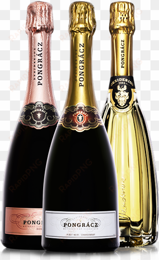 bottles - champagne brands south africa