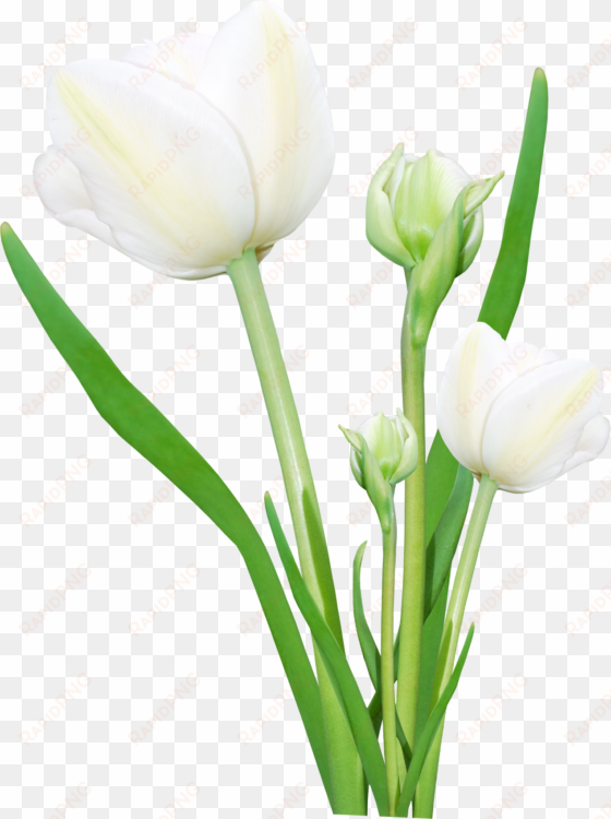 bouquet flowers png - flowers png