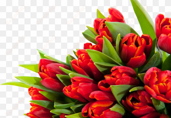 bouquet flowers png - group of flowers not in vase bright