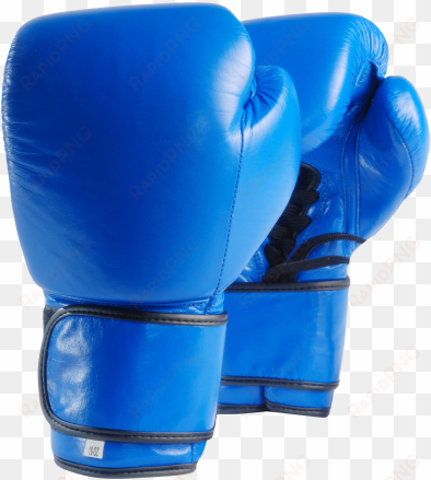 boxing gloves png transparent image - boxing gloves png transparent