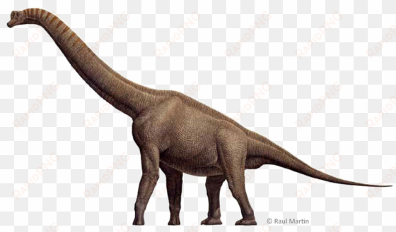 brachiosaurus png free download - imagem de dinossauro braquiossauro
