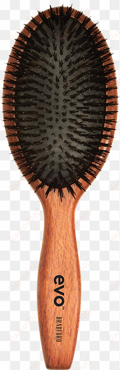 bradford - evo boar bristle brush