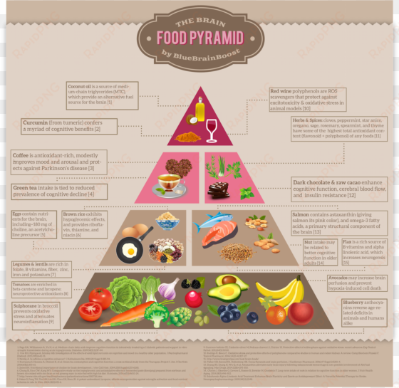 brain food pyram - brain food pyramid