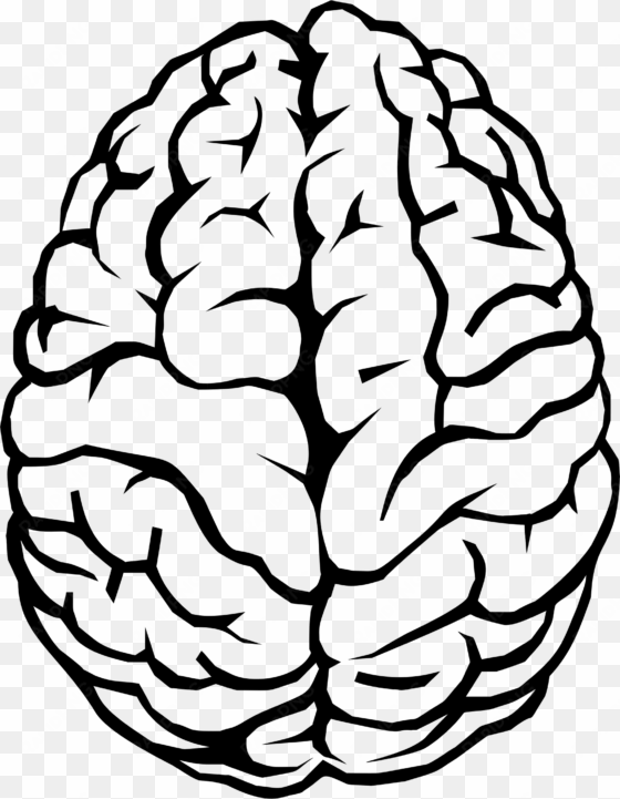 brain line drawing at getdrawings - brain clipart