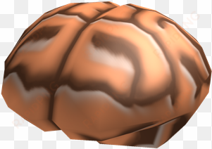 brain - roblox brain