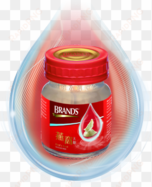 brand's bird's nest sugar free bottle 68ml - bird nest