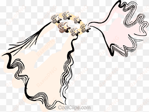 bridal veil royalty free vector clip art illustration - veu noiva vetor png