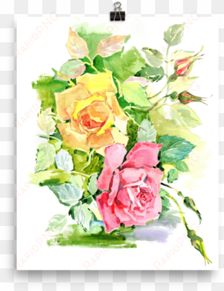bright and floral rose watercolour print matte poster - watercolor painting