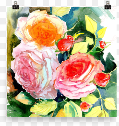 bright and floral rose watercolour print matte poster - watercolor painting