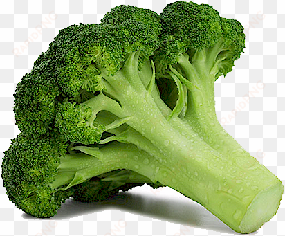 broccoli free download png - broccoli free png