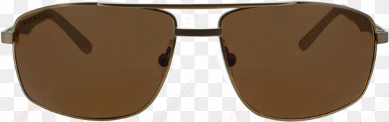 brown/brown polar - sunglasses