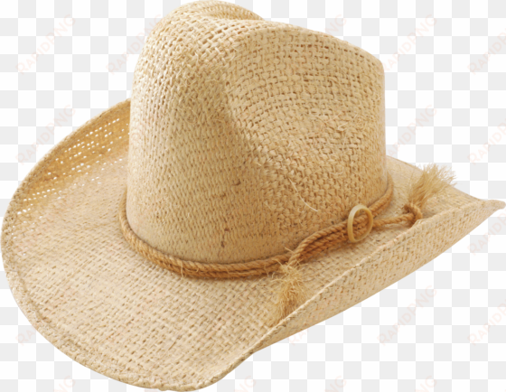 Brown Cow Boy's Hat Png Image - Unofficial Guide To Branson, Missouri [book] transparent png image