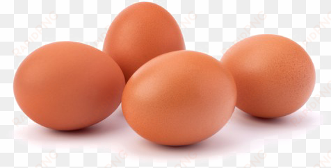 brown egg png pic - 4 eggs