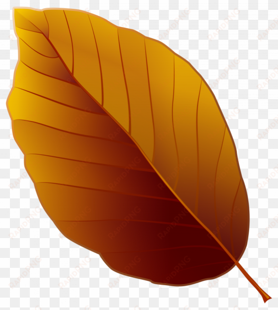 brown leaf clip art png