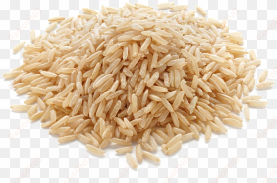 brown rice png download image - augason farms long-grain brown rice pail, white, size