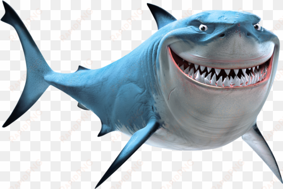 bruce-fn copy - bruce shark
