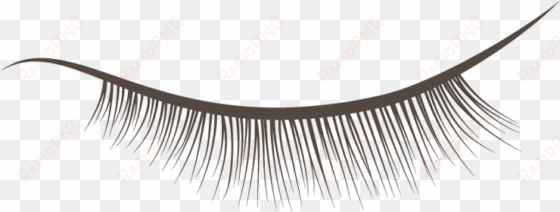brush vector eyelash - eyelash extensions