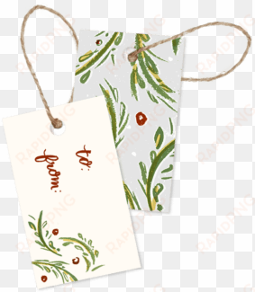 Brushed Holly Christmas Gift Tags Pack Of - Holly Christmas Gift Tags transparent png image