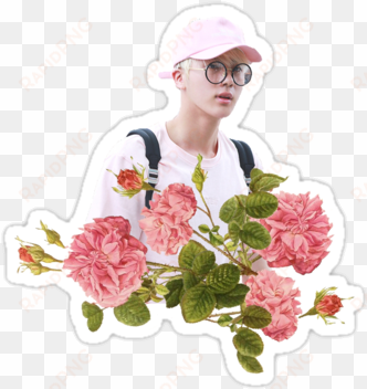bts jin cute pink bangtan bangtan boys kimseokjin princ - jin sticker