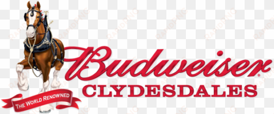 budweiser clydesdales coming to fort myers - budweiser clydesdales logo