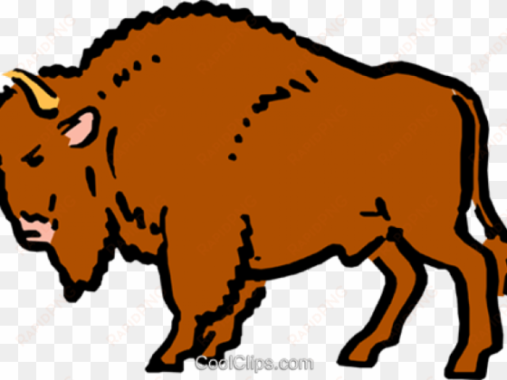 buffalo clipart png - dirty buffalo