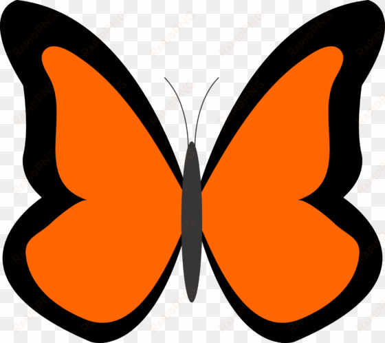 bug clipart orange butterfly - orange color clip arts