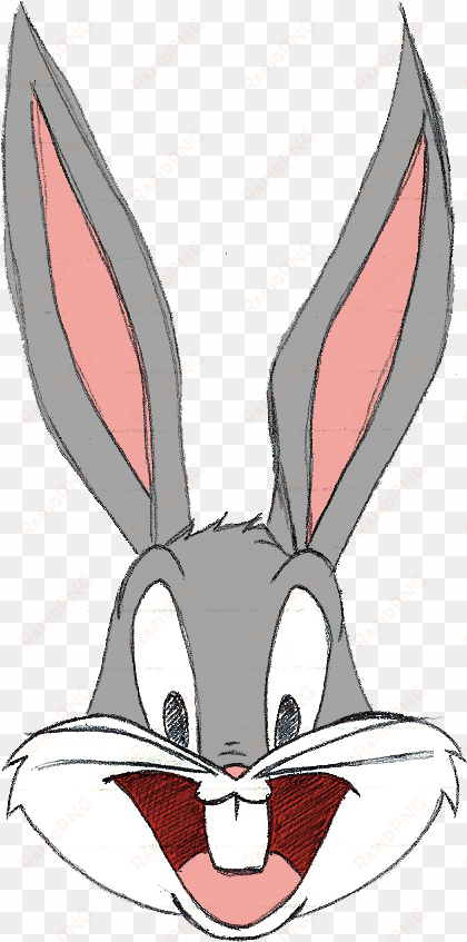 bugs bunny lola bunny looney tunes drawing cartoon - bugs bunny y lola